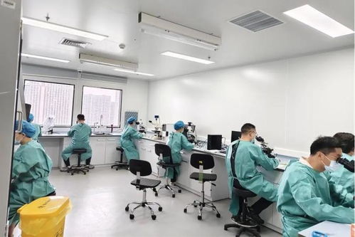 嘉实力全开！嘉定区在全市疾病预防控制职业技能竞赛中包揽多个奖项