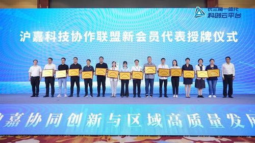 上海和嘉兴今天成立一个新联盟